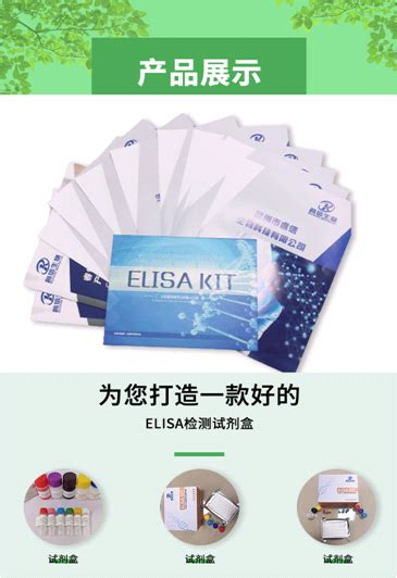 科研 人白细胞介素6（il 6）定量检测试剂盒 Elisa白细胞介素胰岛素试剂盒【泉州市睿信生物科技有限公司】