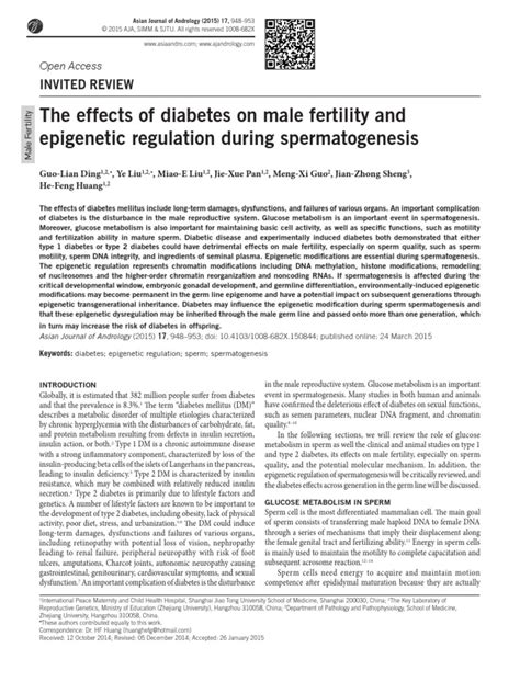 The Effects Of Diabetes On Male Fertility And Epigenetic Regulation