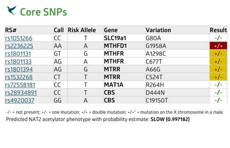 Mthfr Mutation Start Here To Learn Mthfr Net Mthfr Net