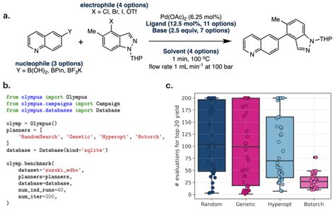 A Reaction Scheme Of The Pd Catalyzed Suzuki Miyaura Cross Coupling