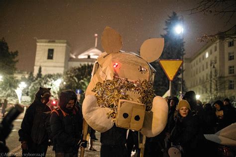 Kilkaset osób demonstrowało przed Sejmem w obronie dzików przed masowym