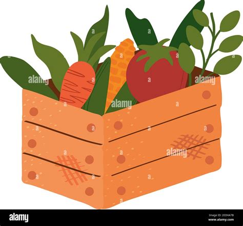 Container Garden Vegetables Stock Vector Images Alamy