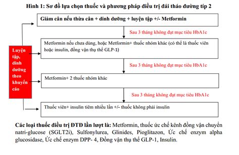 Hướng Dẫn Sử Dụng Các Thuốc điều Trị Tiểu đường Tuýp 2 Benhvn