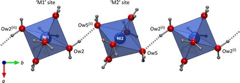 Illustration Of The H Bonded Chains Of Nio Octahedra Running Along The