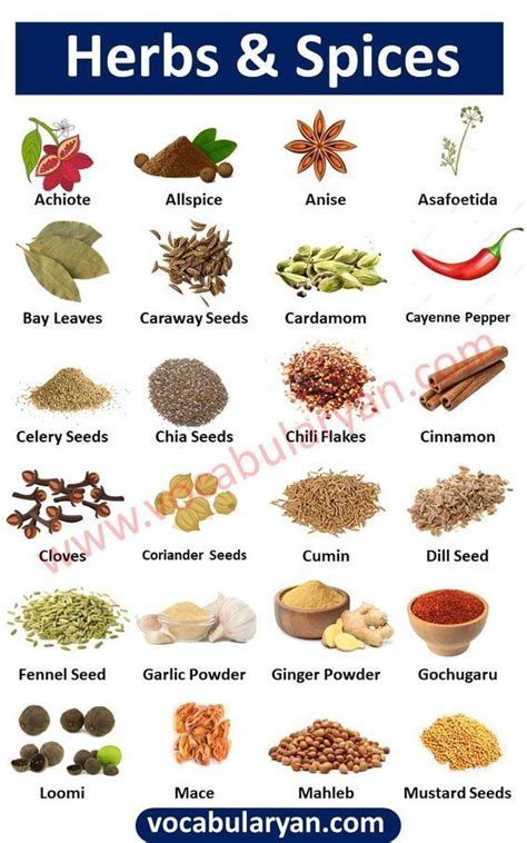 Herbs and Spices Chart, Herbs List, Spice Vocabulary, List of Common ...