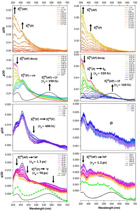 Femto Picosecond Time Resolved Absorption Spectra Of Dte M Left And