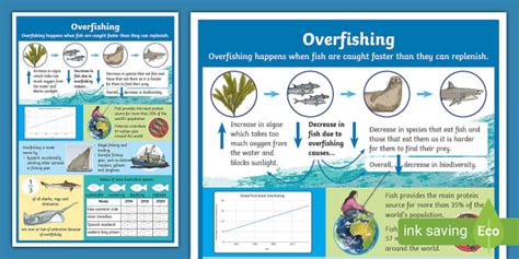 Overfishing Infographic Sustainability Resources Twinkl