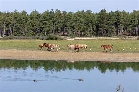 France Somme Baie De Somme Saint License Image 13935338 Lookphotos