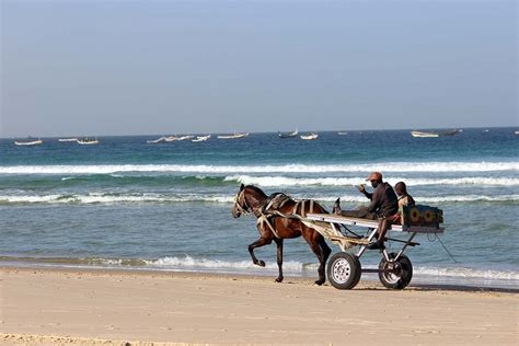 Il Periodo Migliore Per Un Viaggio In Senegal