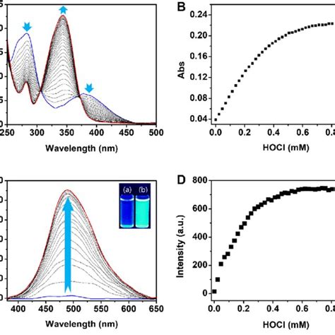 UV Vis Absorption And Fluorescence Responses Of Probe PG To HOCl In 20