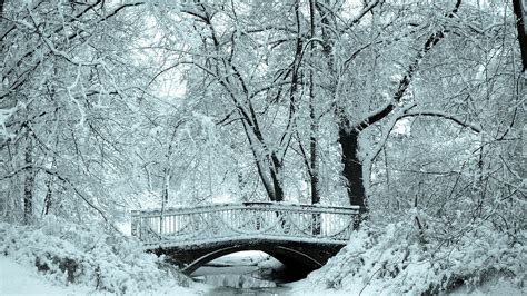 Rzeka Mostek Park Zima