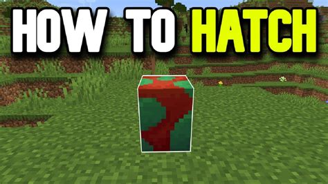How To Hatch Sniffer Eggs In Minecraft 120 Quick Tutorial Youtube