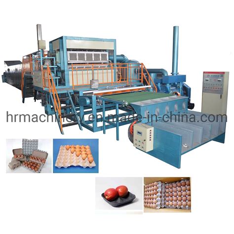 Automatic Pulp Molding Used Paper Egg Tray Making Machine China Egg