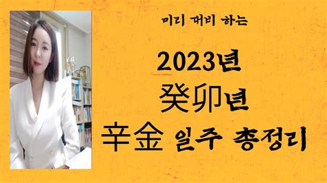 2023년 신금일간운세 계묘년신금일간 일주정리 Youtube