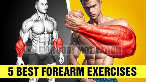 Best Exercises For Bigger Forearms Youtube