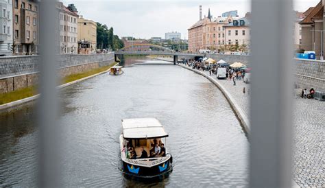 Fotogalerie V Olomouci Z Strom Bambul N V No N M Ste Ko P Il Kalo