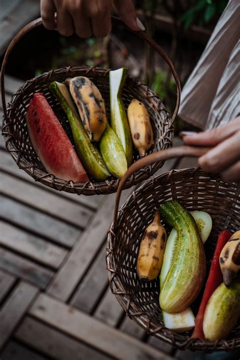 Ethical Animal Tourism: How to Travel Ethically 101 - Travel Munchers