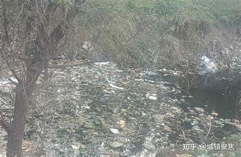 河北清河一村污水坑：水质黑臭、垃圾漂浮 知乎