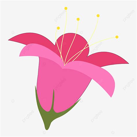 Flowers Blooming Clipart Hd Png Blooming Flowers Clipart Splendid