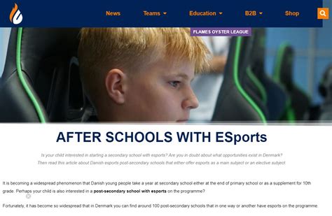 Copenhagen Flames Danish Esports Post Secondary School Operamus Gaming