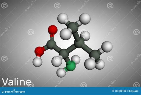 Valina Mol Cula Val Es Cido Amino Cido Se Utiliza En La