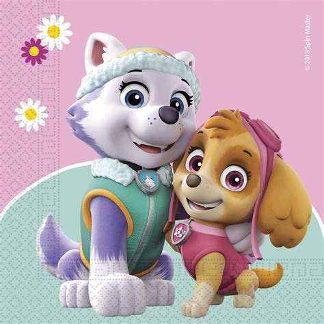 Partydeko Paw Patrol Skye And Everest Servietten X Cm Mehrfarbig