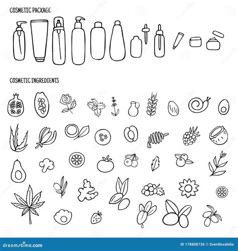 Organic Cosmetics Ingredients Set for Product Packaging. Hand Drawn Packaging Icons Stock Vector ...