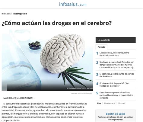 ¿cómo Actúan Las Drogas En El Cerebro — Observatorio Español Del