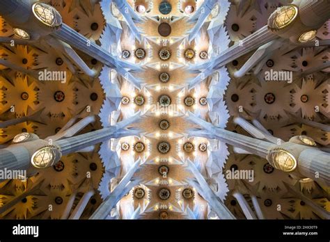 The Famous Ceiling Of The Sagrada Familia By Antoni Gaudi In Barcelona