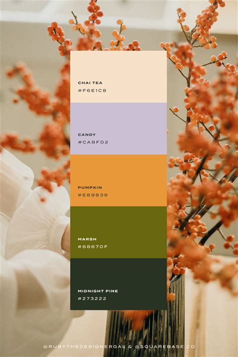 Autumnal Spooky And Warm Colour Palette For Your Brand And Squarespace