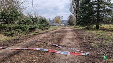 Sprawa Z Bielowicka Nadal Owiana Tajemnic W Starej Owczarni