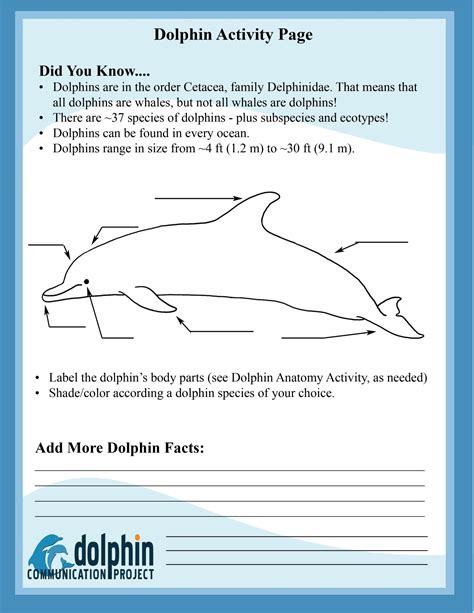 New Dolphin Activity Page – Dolphin Communication Project