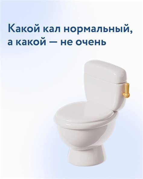 Бристольская шкала стула — наглядная классификация, которая делит кал ...