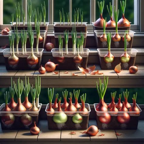 Growing Onions In Containers Made Easy Enjoy Container Gardening