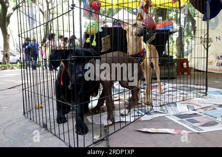 Ciudad De M Xico M Xico De Julio De De Julio De