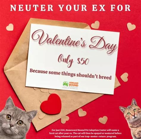 The Nj Animal Shelter Offers An Ex Neutering Special For Valentines Day