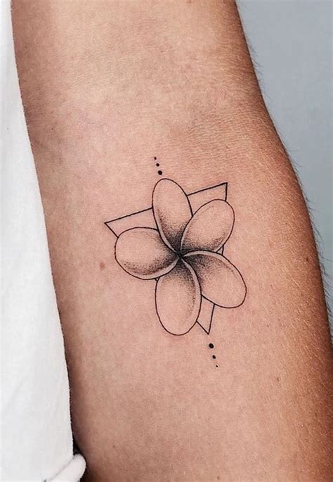 Images Of Plumeria Flower Tattoos Best Flower Site