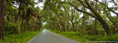 Swamp Road Facebook Cover Photos