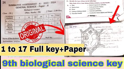 AP 9th Class Sa 2 Biological Science Question Paper 2024 Answer Key