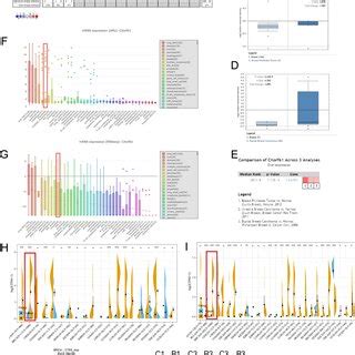 Exploration And Validation Of KK LC 1 Expression A The Oncomine