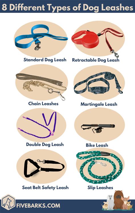 8 Types Of Dog Leashes And How To Choose The Best One