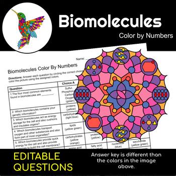 Biomolecules Macromolecules Science Color By Number Tpt