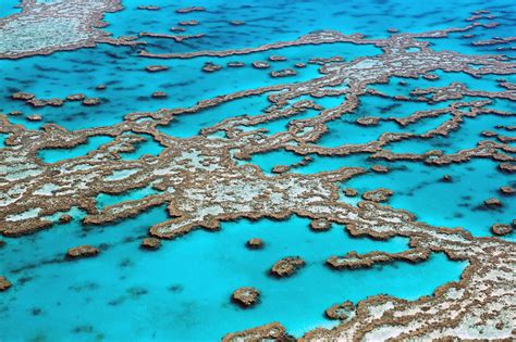 Great Barrier Reef, Cairns