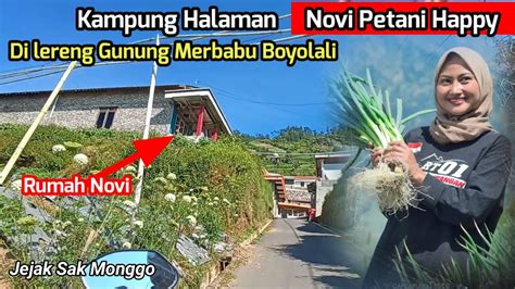 Adem Dan Indah Kampung Halaman Novi Petani Happy Petani Muda Di