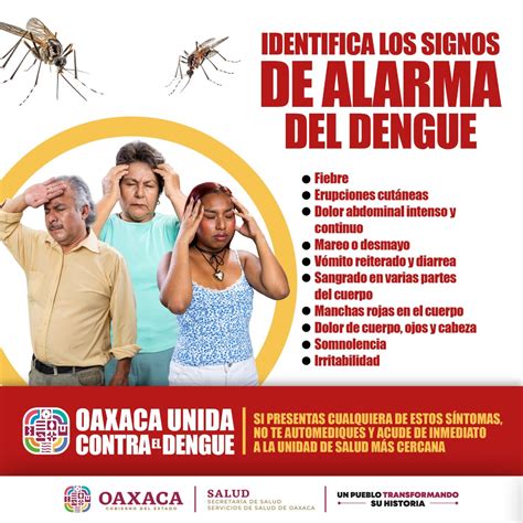 Reporta SSO 44 municipios con casos nuevos de dengue Sucedió en Oaxaca