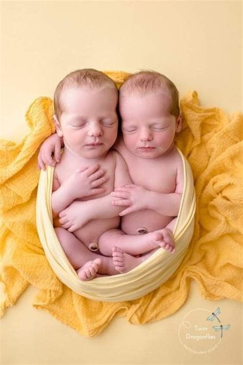 Pin By Dhafer Shamsuldeen On Amazing Twin Baby Photography Newborn