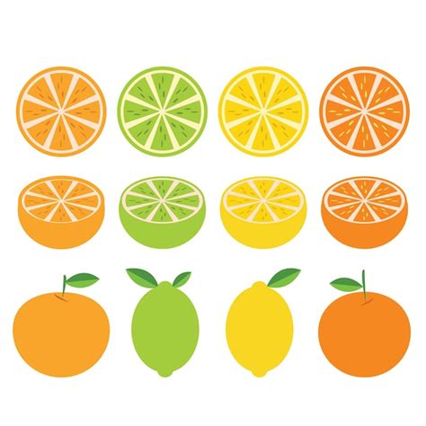 Premium Vector Citrus Fruit Clipart Set