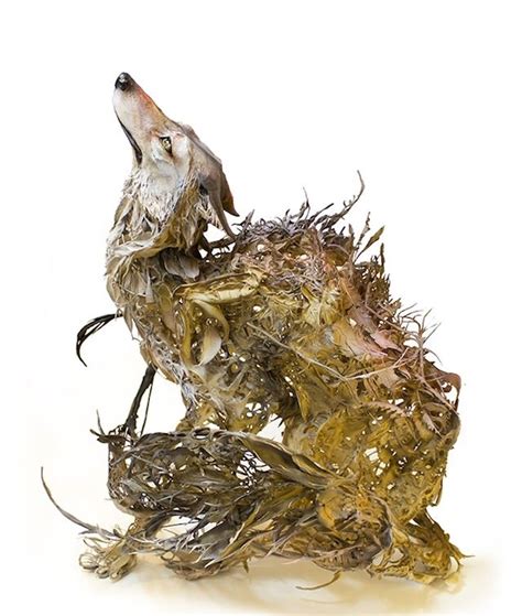 Nature Gets Surreal In Ellen Jewetts Fantastic Sculptures Animal