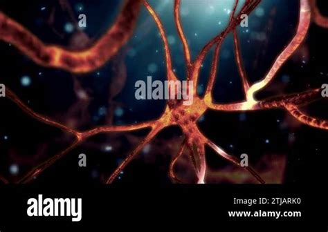 Synapse In The Nervous System Stock Videos Footage HD And 4K Video