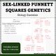 Biology And AP Biology Genetics Sex Linked Punnett Squares With Answer Key
